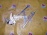Стеклоподъемник TOYOTA Camry Gracia/Mark II MCV20 перед, лев
