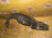 Подкрылок TOYOTA Carib/Sprinter/Corolla AE90 L 53876-12140(70)