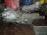 АКПП Toyota 3C-T 0372L / 35000-28650 2WD BUS Lite Ace/Town Ace CR20