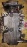 Головка блока Subaru EJ16/EJ18 Impreza/Legacy GC/GF/BD 1 вальная L 11039-AA860  -AA861  -AA950