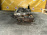 Головка блока ISUZU 4FD1