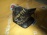 Брызговик TOYOTA Crown GS140 перед, лев 76622-30090 (Не крашенный)