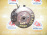 Ступица Toyota M100A/M101A/M110A/M111A Duet перед, лев 2WD/4WD ABSсо ступицы.Диаметр диска-234мм.Суппорт-V16.Диск вентилируемый. В сборе с диском и суппортом