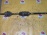 Привод NISSAN JHU30/HU30 Bassara/Presage VQ30 перед, прав ABS 39100AD115,,39100AD175