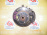 Ступица Toyota M100A/M101A/M110A/M111A Duet перед, прав 2WD/4WD ABS со ступицы. Диаметр диска-234мм. Суппорт-V16.Диск вентилируемый.В сборе с диском и суппорт