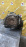 АКПП MITSUBISHI 4G15/4G63/4G93/6A12 F4A222MPF4 2WD без датчика