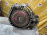 АКПП HONDA B20B SKNA 2WD стоимость без датчика положения ( селектора ) RF1 '2000