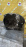 МКПП MITSUBISHI G15B EU7177 4WD