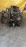 Блок Двигателя NISSAN YD22-025283A В СБОРЕ