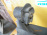 Балка TOYOTA ACR30/MCR30 Estima ABS DISC. в сборе R