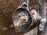 МКПП Nissan TD42 4WD Safari/Patrol Y60