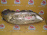 Фара Mazda 1344/1345 прав Atenza GG3P/GY3W Хром.