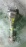 Редуктор Subaru SH5/GC8/GF6/GE7/GH7/BD5/BG5/BE5/BH5/BL5/BP5 Forester/Impreza/Legacy R 37/9 (4.111) VA1REG-XJ 38300-AC090