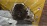 МКПП HONDA D14A8/D14Z4 9L/9A 2WD
