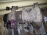 МКПП Isuzu 4HF1 '2002 5 ст 2-х режимная, MXA-5R 897245-2121 / X0A30-10965