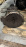МКПП Nissan TD25/TD27 Atlas/UD 2WD 5 ст., чугунная