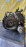 АКПП Honda D15B/D13B M7DA/S7DA 2WD CVT Logo GA3