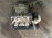 Блок ABS Toyota NCP20 Funcargo 44510-52131
