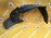 Подкрылок HONDA Odyssey RA1 R 74101-SX0-0001