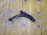 Рычаг Nissan B13/N14/Y10 Sunny/Pulsar/Wingroad/AD перед, прав 5450050Y10