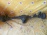 Мост TOYOTA NCP15/NCP25/NCP65 Vitz/Platz/Funcargo/Ist 41/18 ABS