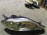 Фара HONDA P4644 прав Edix BE1