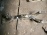 Балка NISSAN C24/N30/U30 F 4WD продольная