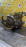 МКПП Subaru EN07 TM601AA2AB 2WD Sambar KS3
