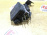Блок ABS Mazda DY3W Demio ZJ-VE ABS D3Y1-43-7A0A/D351-437A0-B/2S61-2M110-CE