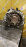 АКПП Suzuki M13A ( 80G2 ) 2WD селектор сверху 8 конт. Swift HT51S