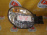 Фара SUBARU 1661 (84001-FE000) прав Impreza GG2 '2000-2002