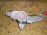 Моторчик привода дворниками TOYOTA Vitz NCP10 R (на 5-ю дверь) 85130-52010