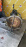 АКПП Suzuki H25A 0371LE 4WD 3 конт. Escudo/Grand Vitara TD52W