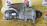 Стартер Nissan GH11 UD 24V M009T64973RL