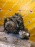 АКПП Honda D16A/D16W1 SETA 4WD CVT HR-V GH2/GH4