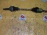 Привод Mazda BJ5P/BJ5W ZL перед, лев ABS  26/26 '2002