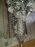 АКПП SUBARU EJ205 TG5D8CBJAA 4WD '2008