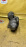 Стартер SUZUKI M15A/M16A 31100-63J00