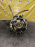 АКПП SUZUKI J20A 0372LS 4WD БЕЗ РАЗДАТКИ Escudo TD54W/JB420W '2007