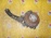 Ступица Mazda GY3W Atenza зад, лев 2WD ABS