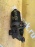 Моторчик привода дворниками TOYOTA Corsa EL50 F моторчик 85110-16590