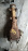 Редуктор SUBARU SH5/SH9/SH9L/SJ5/SJ9/BM9/GH8/BR5/BR9/BRD/BS9/BSD/BSG/GPD/BM5/BM9/BMD Forester/Legacy/Impreza/Outback/XV R 37/9 (4.111)  B1 27011-AB161