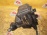Блок предохранителей TOYOTA MCU35/GSU30 Harrier