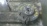 Ступица SUBARU GH5 Exiga/Forester/Impreza/Legacy/Outback перед, лев 4WD Диск 277/24  ABS