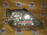 Фара TOYOTA 48-15 прав Harrier MCU15 '2000-2003 Xenon (Хром)