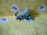 Главный тормозной цилиндр Toyota JZX90/JZX100/JZZ30/JZS130/140/150 Mark II/Chaser/Cresta/Crown 2х конт. 2 шп.