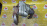 Коллектор выпускной Toyota 3S-FSE Vista Ardeo/Nadia/Corona Premio SV50/SXN10/ST210 '1998- с катализатором 25051-74080