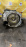 АКПП Mazda LF/L3 2WD 26 зуб. на приводе. С приводом спид. 3/Axela BK5P '2004