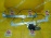 Стеклоподъемник BMW X5 E53 '2000-2006 перед, прав 51338254912