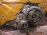 АКПП NISSAN CGA3 TR46NJE1AB CVT 4WD с фильтром Cube Z10